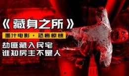 风流冤鬼在线观看,穿越时空的奇幻之旅