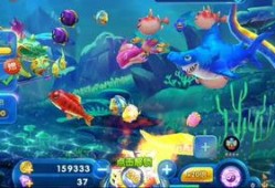 深海捕鱼爆料视频下载安装,揭秘神秘海洋生物的捕捞过程