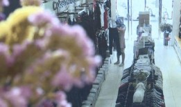蒙面女生爆料视频播放大全,幕后真相全解析