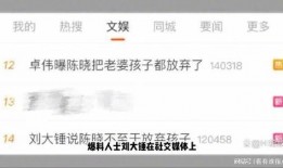 刘大锤最新爆料预告视频,揭秘娱乐圈惊天秘密，敬请期待！