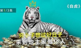 印度电影老虎在线观看,老虎在线，揭秘神秘森林的生死较量