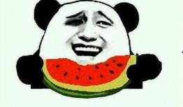 娱乐吃瓜酱卡皮,揭秘娱乐圈背后的那些事儿