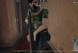 绝地求生服装爆料视频女