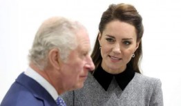 查尔斯国王最新爆料视频,最新爆料视频深度解析