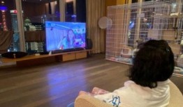 小智爆料玩小孩的视频,玩转童趣，揭秘与小孩的欢乐时光